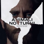 animali-notturni-2